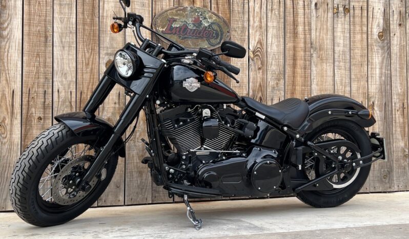 HARLEY DAVIDSON SOFTAIL SLIM 110 lleno