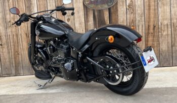 HARLEY DAVIDSON SOFTAIL SLIM 110 lleno