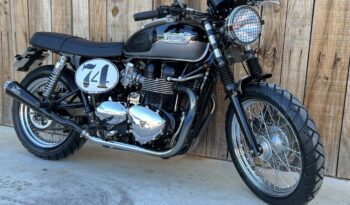 TRIUMPH BONNEVILLE TAMARIT lleno