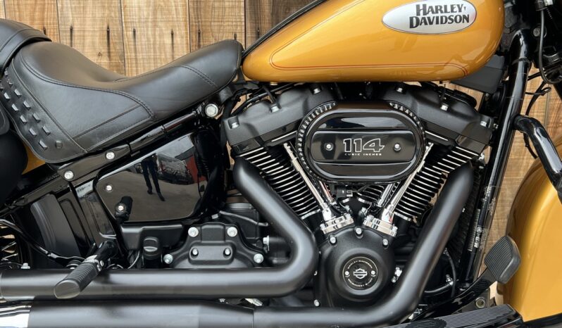 HARLEY DAVIDSON HERITAGE CLASSIC 114” lleno