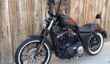 HARLEY DAVIDSON XL883 IRON lleno