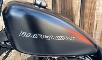 HARLEY DAVIDSON XL883 IRON lleno