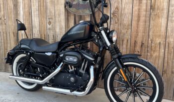 HARLEY DAVIDSON XL883 IRON lleno