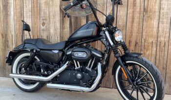 HARLEY DAVIDSON XL883 IRON lleno