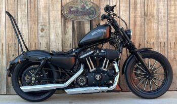 HARLEY DAVIDSON XL883 IRON lleno