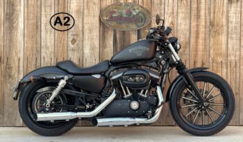 HARLEY DAVIDSON XL883 IRON A2 lleno