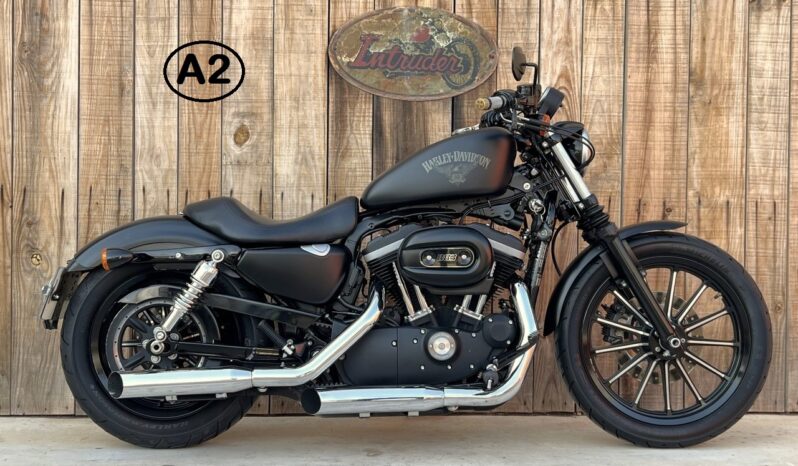 HARLEY DAVIDSON XL883 IRON A2 lleno