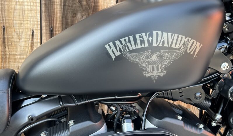 HARLEY DAVIDSON XL883 IRON A2 lleno