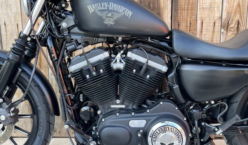 HARLEY DAVIDSON XL883 IRON A2 lleno