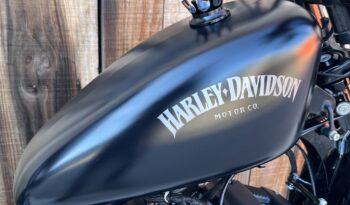 HARLEY DAVIDSON XL883 IRON lleno