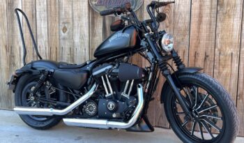 HARLEY DAVIDSON XL883 IRON lleno