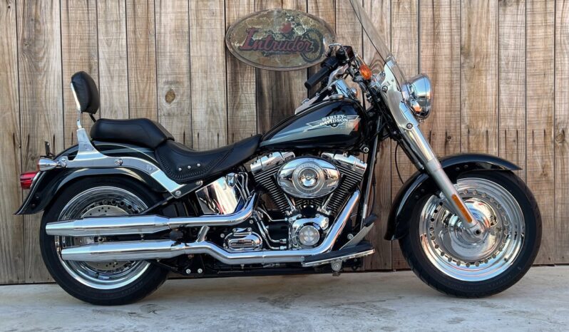 HARLEY DAVIDSON FAT BOY lleno