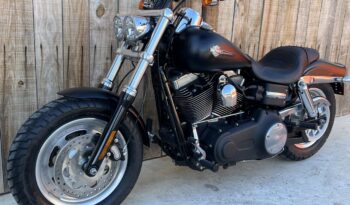 HARLEY DAVIDSON FXDF DYNA FAT BOB lleno