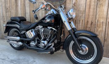 HARLEY DAVIDSON FAT BOY lleno