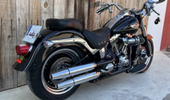 HARLEY DAVIDSON FAT BOY lleno