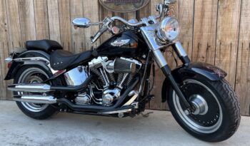 HARLEY DAVIDSON FAT BOY lleno