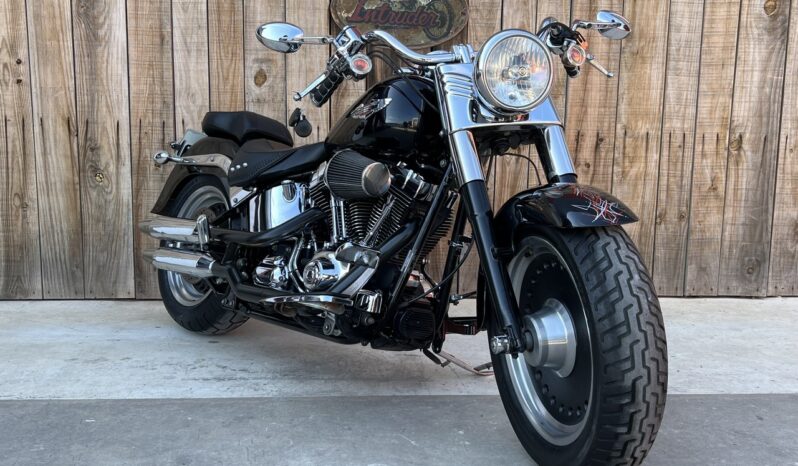 HARLEY DAVIDSON FAT BOY lleno