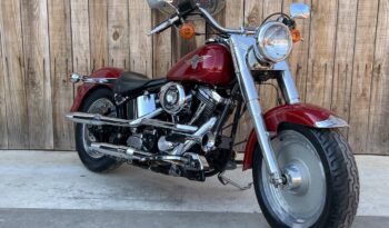 HARLEY DAVIDSON FAT BOY “EVOLUTION” lleno