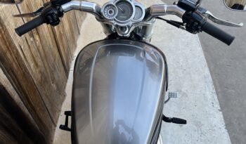 HARLEY DAVIDSON VRSCF MUSCLE lleno