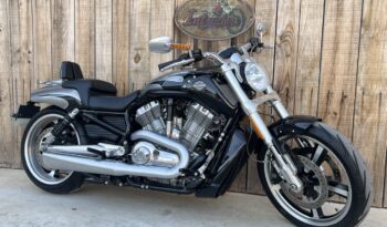 HARLEY DAVIDSON VRSCF MUSCLE lleno