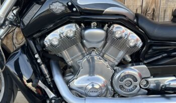 HARLEY DAVIDSON VRSCF MUSCLE lleno