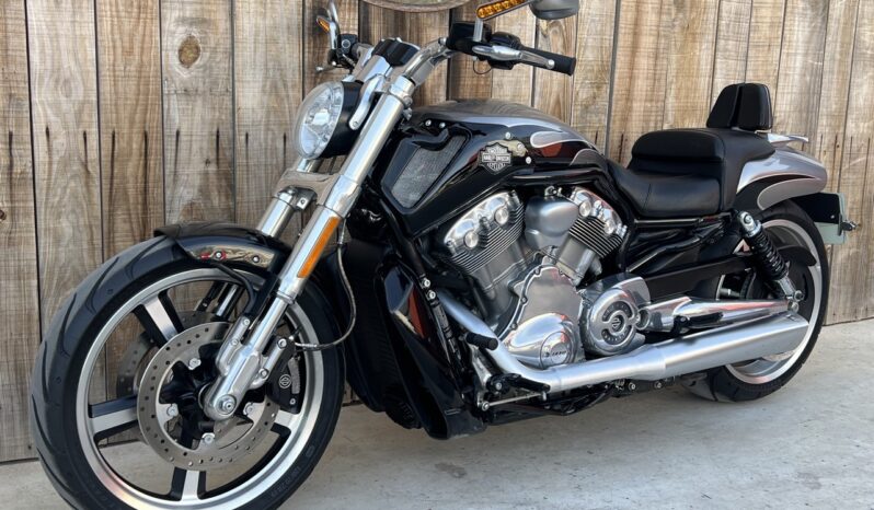 HARLEY DAVIDSON VRSCF MUSCLE lleno