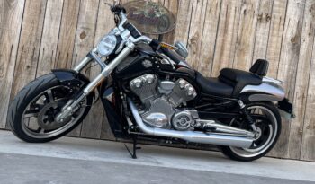 HARLEY DAVIDSON VRSCF MUSCLE lleno